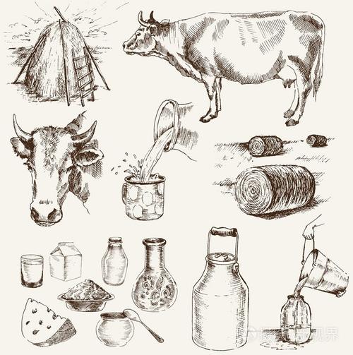 奶牛和牛奶产品
